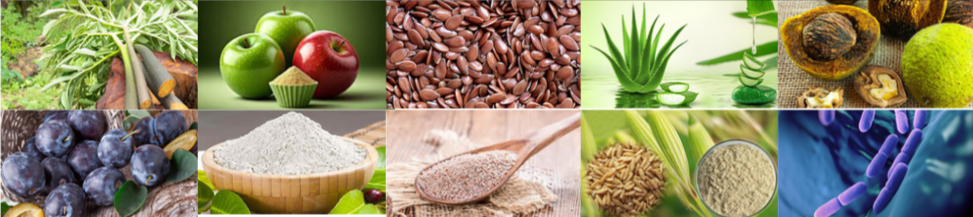 Gut Vita Ingredients